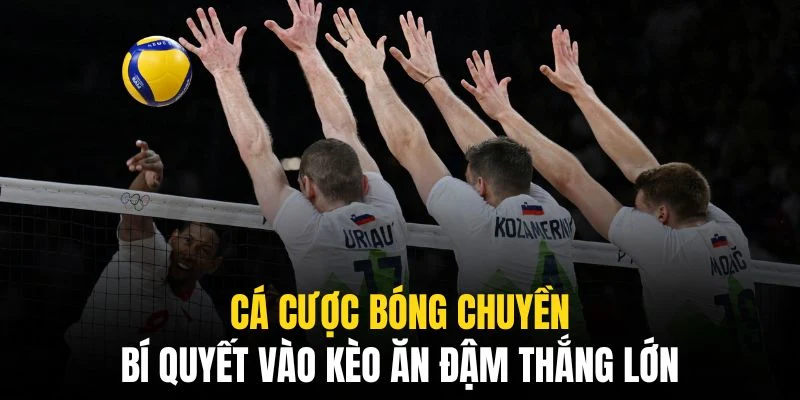Cá Cược Bóng Chuyền QQ88 - Mọi Thông Tin Cho Mọi Bet Thủ 8 Những bí quyết cá cược bóng chuyền hay giúp chúng ta tăng cơ hội ăn thưởng