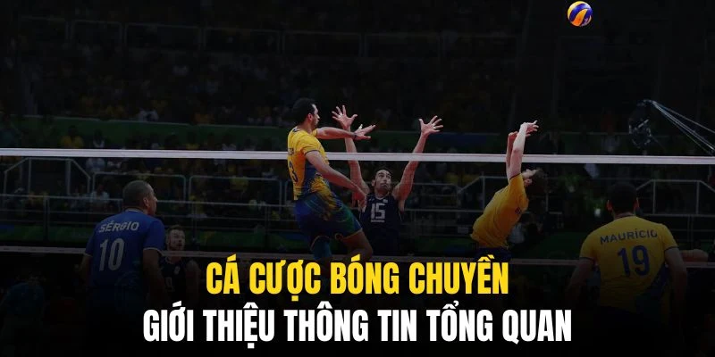 Cá Cược Bóng Chuyền QQ88 - Mọi Thông Tin Cho Mọi Bet Thủ 5 Hình thức nhận được sự ủng hộ đông đảo của cộng đồng bet thủ
