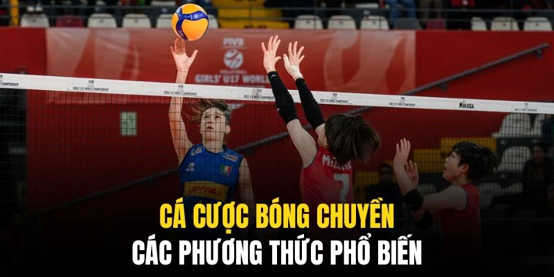 Cá Cược Bóng Chuyền QQ88 - Mọi Thông Tin Cho Mọi Bet Thủ 7 Các phương thức cá cược bóng chuyền rất đa dạng và phong phú