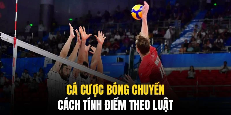 Cá Cược Bóng Chuyền QQ88 - Mọi Thông Tin Cho Mọi Bet Thủ 6 Đây là quy định áp dụng chung cho các trận đấu toàn cầu